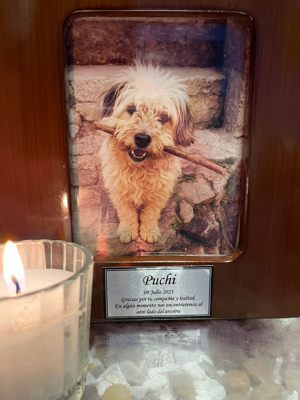 Funeraria Funeraria de Mascotas Jardín de Huellitas